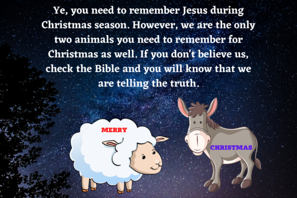 The Significance of Christmas Animals: Sheep and Donkey in the Bible Story